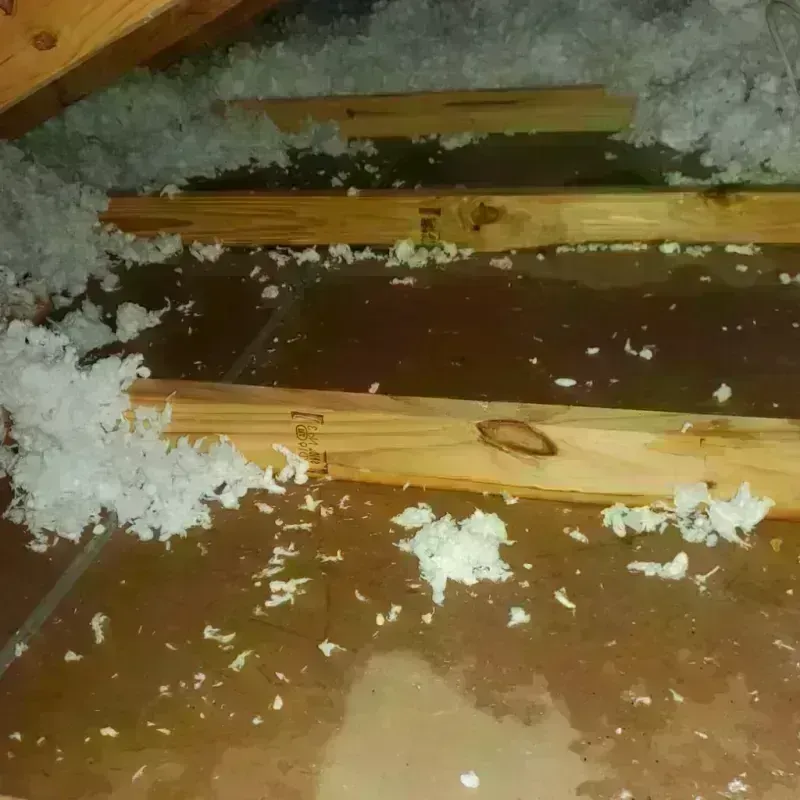 Attic Water Damage in Palmer Lake, CO