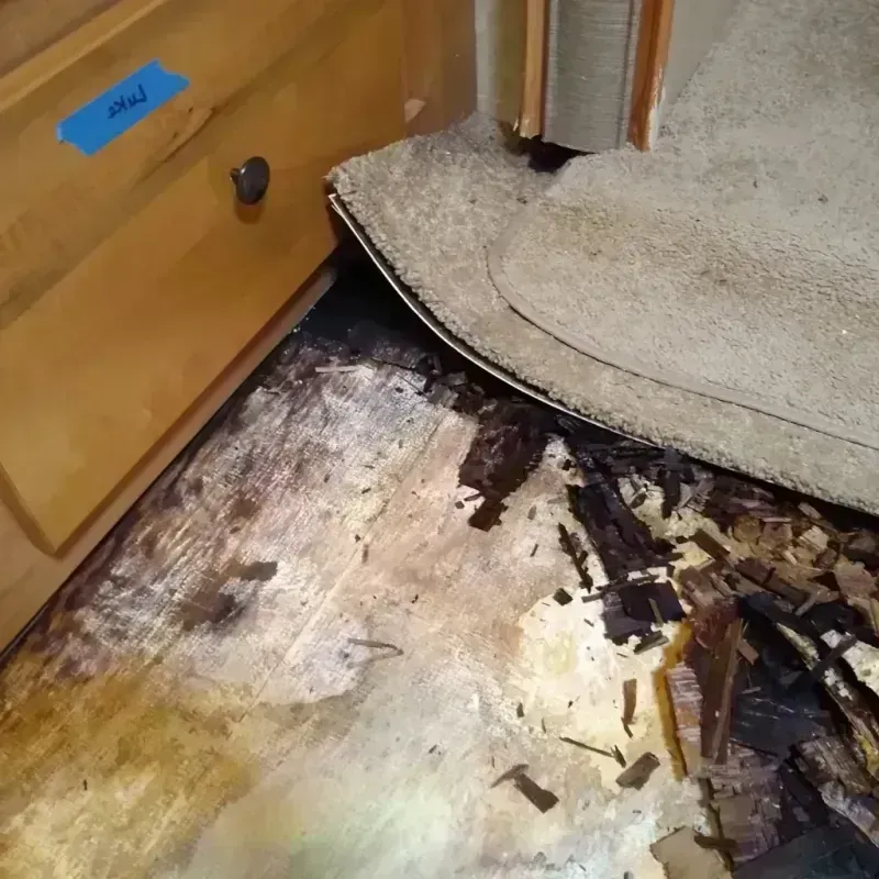 Best Wood Floor Water Damage Service in Palmer Lake, CO